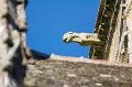 0108 Locronan